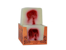 ���� ������ ������ <<������� ������>>