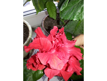 ��������1