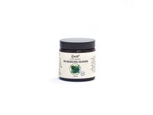 ������������	����� �������