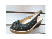 FEBINI ���� 2015