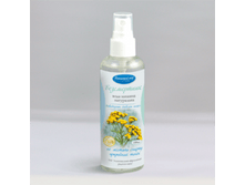 Bessmertnik italyanskiy.png