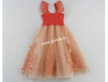 IMG 0492 (����������).jpg