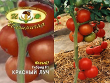 ������� ��� 25 ���..jpg