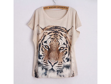 ����� ���� 520���.