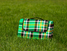 0027 - Green 170�150.JPG