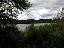 IMG 20150613 135804.jpg