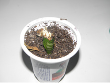 ���������� �����