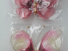 ������� ������������. �����.