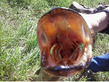 2015-06-06 15.22.13.jpg