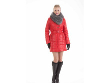 ������ 56