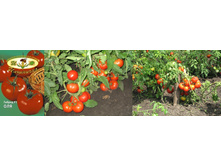 �������� 20 ���..jpg