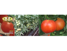 ���������� 25 ���..jpg