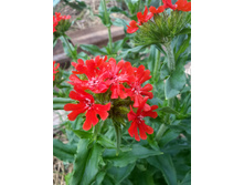 20150616 160005 Richtone(HDR).jpg