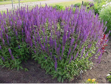 ������ ��������� �������� ���� ���� 110� � ������� 10 ��