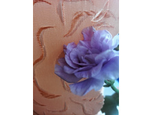 IMG 20150606 131356.jpg