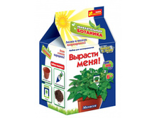 ����� ������� ���� (������)