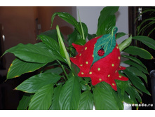 ������_05