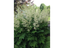 �������� 100��� �������