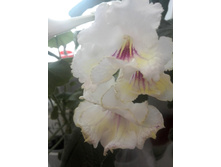 IMG 20150611 170402.jpg