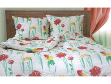 �-1006-01 �������.jpg