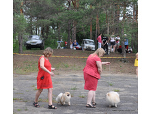 66-DSC 6449.JPG
