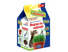 ����� ������� ���� (������ ��� �����)