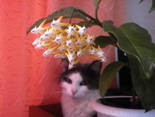 IMG 20150627 160813.jpg