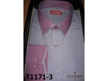 �������:T1171-3