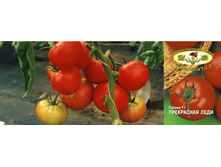 ���������� ���� 20 ���..png