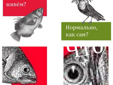 GqeinDsfJYg.jpg