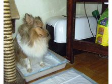 ������ ������ "�����������" ������-�����