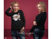 5333.jpg