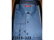 �������:T1013-123