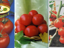 ������� 20 ���..jpg