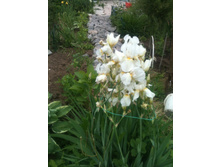 ����������� 013.jpg