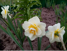 IMG 20150516 133755.jpg