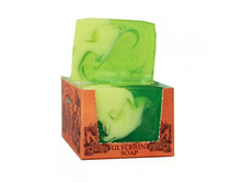 ���� ������ ������