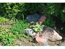 ��������� ����������, ������ 30 ���