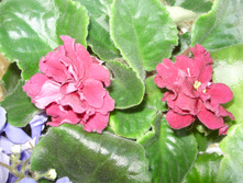 P5310005.JPG