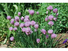 ����  ��� 30 ���