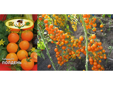 ������� (�����) 30 ���..jpg