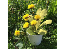 ���������� �� ���������