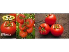 �������� 30 ���..jpg