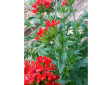 20150616 155947 Richtone(HDR).jpg