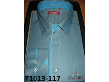 �������:T1013-117