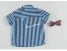 IMG 1955 (����������).jpg