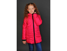 �������� 2.jpg