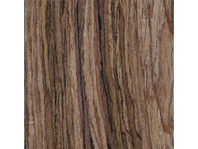 ���� ������������