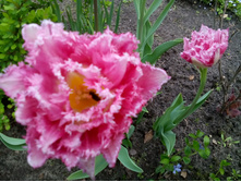 IMG 20150523 112547.jpg