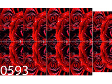 593